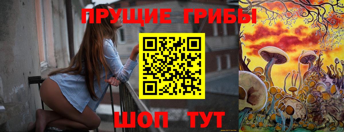 Галлюциногенные грибы GOLDEN TEACHER Черняховск