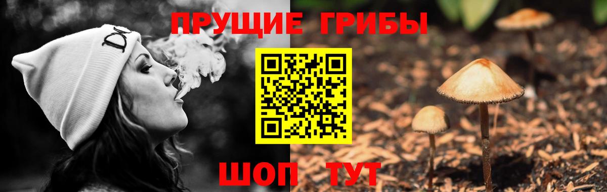 Псилоцибиновые грибы мицелий  Вход с VPN  Черняховск 
