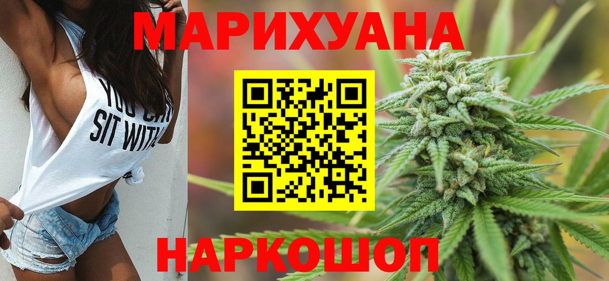 Конопля план Черняховск